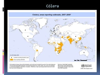 Cólera
 