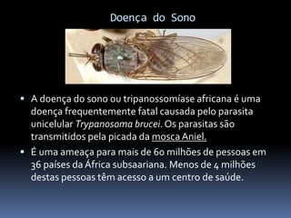 Doença do Sono
 A doença do sono ou tripanossomíase africana é uma
doença frequentemente fatal causada pelo parasita
unicelular Trypanosoma brucei. Os parasitas são
transmitidos pela picada da moscaAniel.
 É uma ameaça para mais de 60 milhões de pessoas em
36 países da África subsaariana. Menos de 4 milhões
destas pessoas têm acesso a um centro de saúde.
 