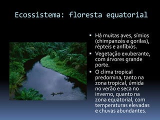 Ecossistema: floresta equatorial
 Há muitas aves, símios
(chimpanzés e gorilas),
répteis e anfíbios.
 Vegetação exuberante,
com árvores grande
porte.
 O clima tropical
predomina, tanto na
zona tropical, úmida
no verão e seca no
inverno, quanto na
zona equatorial, com
temperaturas elevadas
e chuvas abundantes.
 