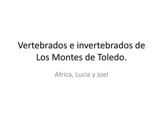 Vertebrados e invertebrados de
Los Montes de Toledo.
Africa, Lucia y Joel
 