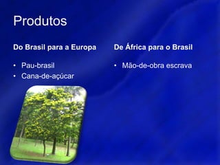 A colonização do BrasilD. João III decidiu colonizar o território através do sistema de capitanias.