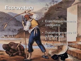 ColonizaçãoPopulação:ColonosMissionários JesuítasEscravos negros (importados para as plantações de cana-de-açúcar).