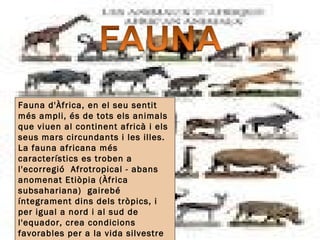 Fauna d'Àfrica, en el seu sentit
més ampli, és de tots els animals
que viuen al continent africà i els
seus mars circundants i les illes.
La fauna africana més
característics es troben a
l'ecorregió Afrotropical - abans
anomenat Etiòpia (Àfrica
subsahariana) gairebé
íntegrament dins dels tròpics, i
per igual a nord i al sud de
l'equador, crea condicions
favorables per a la vida silvestre
 
