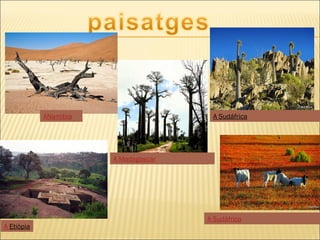 A Madagascar
A Sudàfrica
A SudáfricaANamibia
A Etiòpia
 