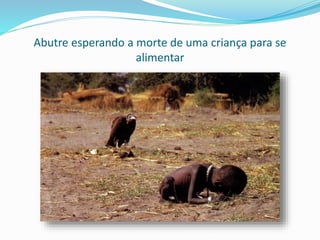 Abutre esperando a morte de uma criança para se
alimentar
 