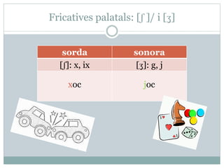 Fricatives palatals: [ʃ ]/ i [ʒ]
sorda sonora
[ʃ]: x, ix [ʒ]: g, j
xoc joc
 
