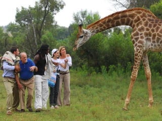 No Regime do apartheid no governo era controlado pelos brancos de origem européia  ( holandeses e ingleses ), que criavam leis e governavam apenas para os interesses dos brancos. Aos negros eram impostas várias leis, regras e sistemas de controles sociais. 