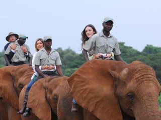 Entre as principais leis do apartheid, podemos citar: Proibição de casamentos entre brancos e negros - 1949 Obrigação de declaração de registro de cor para todos sul-africanos ( brancos, negro ou mestiço - 1950 Proibição de circulação de negros em determinadas áreas das cidades - 1950 Determinação e criação dos bantustões ( bairros só para negros ) - 1951 Proibição de negros no uso de determinadas instalações públicas ( bebedouros, banheiros públicos ) - 1953 Criação para as crianças dos bantustões - 1953 