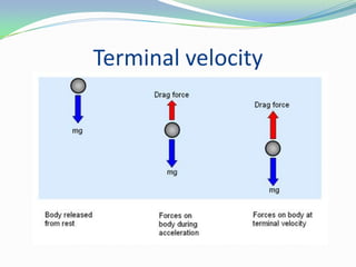 Terminal velocity
