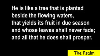 He is like a tree that is planted
beside the flowing waters,
that yields its fruit in due season
and whose leaves shall never fade;
and all that he does shall prosper.
The Psalm
 