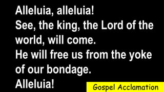 Alleluia, alleluia!
See, the king, the Lord of the
world, will come.
He will free us from the yoke
of our bondage.
Alleluia! Gospel Acclamation
 