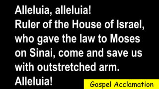 Alleluia, alleluia!
Ruler of the House of Israel,
who gave the law to Moses
on Sinai, come and save us
with outstretched arm.
Alleluia! Gospel Acclamation
 