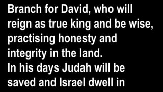 Branch for David, who will
reign as true king and be wise,
practising honesty and
integrity in the land.
In his days Judah will be
saved and Israel dwell in
 