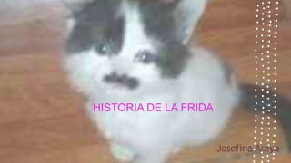 HISTORIA DE LA FRIDA
Josefina Araya
 