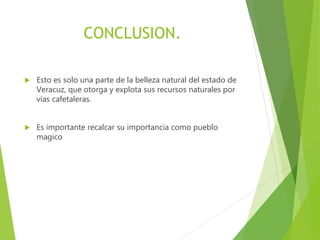 CONCLUSION.
 Esto es solo una parte de la belleza natural del estado de
Veracuz, que otorga y explota sus recursos naturales por
vías cafetaleras.
 Es importante recalcar su importancia como pueblo
magico
 