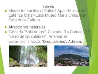 Culturales
 Museo Interactivo el Cafetal Apan-Museo del
Café "La Mata"-Casa Museo Maria Enriqueta-
Casa de la Cultura-
 Atracciones naturales
 Cascada "Bola de oro"-Cascada "La Granada"-El
"cerro de las culebras". Además es
visitar Los famosos "Orquidearios". Ashram.
 