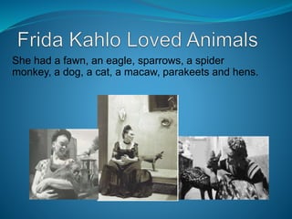 She had a fawn, an eagle, sparrows, a spider
monkey, a dog, a cat, a macaw, parakeets and hens.
 