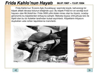 Frida Kahlo’nun ‘Evrenin Aşkı Kucaklayışı’ eserinde küçük, kahverengi bir
köpek alttaki devasa kolunun bileğinde uyur. Bu köpek Frida’nın en sevdiği evcil
hayvanı olan Mr.Xolotl’dur. Frida 3000 yıllık Aztek mirası olan bu tüysüz, sıradışı
görünümlü bu köpeklerden birkaçına sahiptir. Meksika tüysüz chihuahuas türü ile
ilişkili olan bu tür Aztekler tarafından kutsal sayılırlardı. Köpeklerin ihtiyacını
duydukları usta ruhları taşıdıklarına inanırlardı.
Frida Kahlo’nun Hayatı 06.07.1907 – 13.07.1954
 