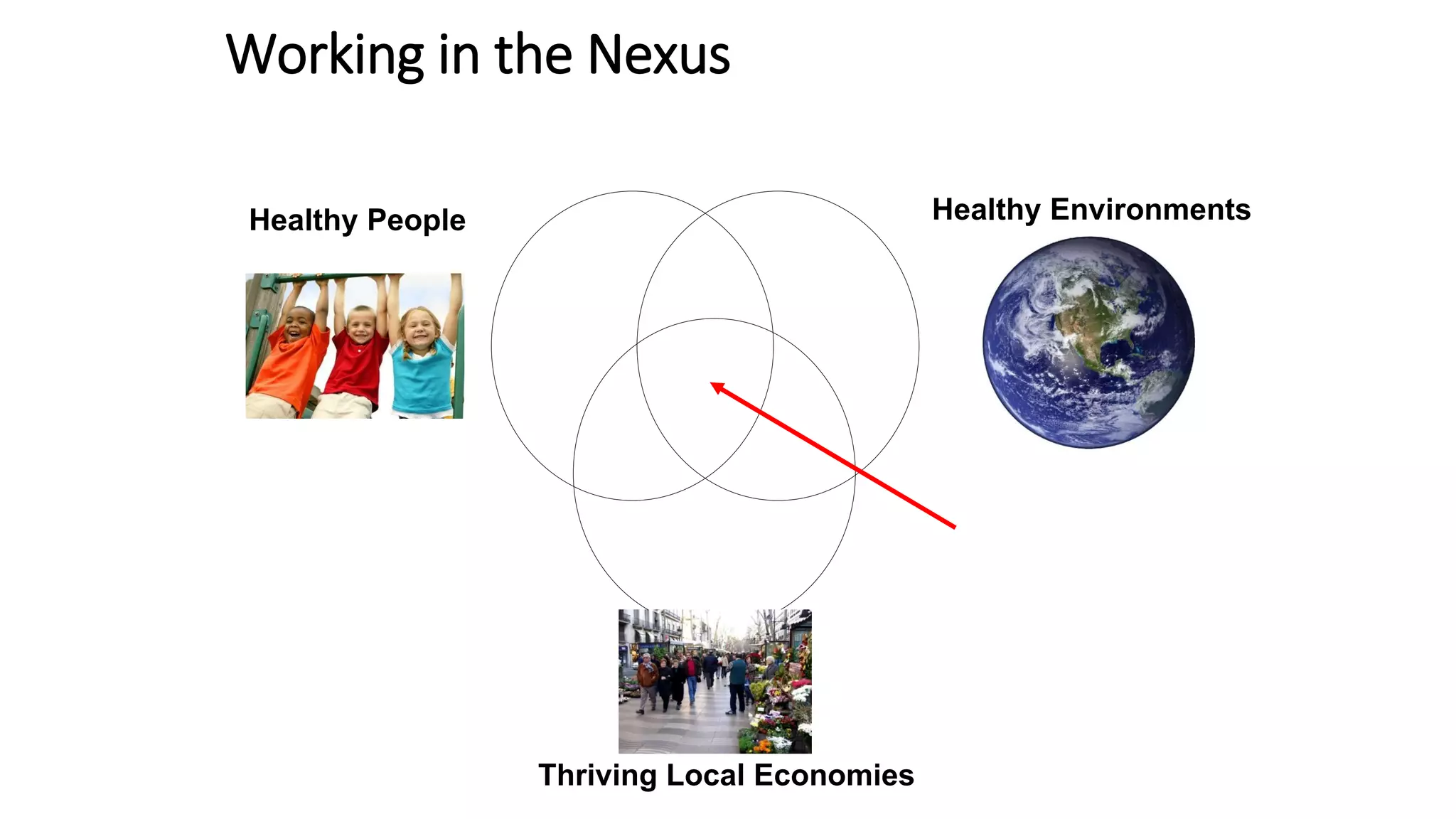 Working in the Nexus
Healthy People Healthy Environments
Thriving Local Economies
 