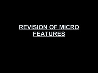 REVISION OF MICRO FEATURES 