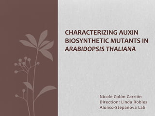 CHARACTERIZING AUXIN
BIOSYNTHETIC MUTANTS IN
ARABIDOPSIS THALIANA




         Nicole Colón Carrión
         Direction: Linda Robles
         Alonso-Stepanova Lab
 
