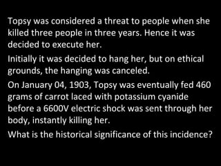 Topsy was considered a threat to people when she
killed three people in three years. Hence it was
decided to execute her.
Initially it was decided to hang her, but on ethical
grounds, the hanging was canceled.
On January 04, 1903, Topsy was eventually fed 460
grams of carrot laced with potassium cyanide
before a 6600V electric shock was sent through her
body, instantly killing her.
What is the historical significance of this incidence?
 
