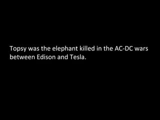 Topsy was the elephant killed in the AC-DC wars
between Edison and Tesla.
 