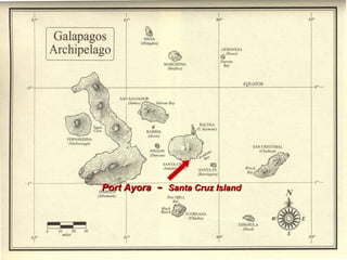 Port Ayora  -  Santa Cruz Island 