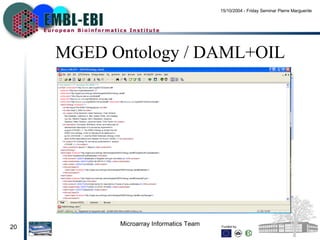 MGED Ontology / DAML+OIL 