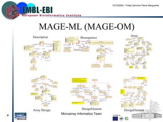 MAGE-ML (MAGE-OM) Description Biosequence Array Array Design DesignElement DesignElement 
