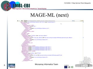 MAGE-ML (next) 
