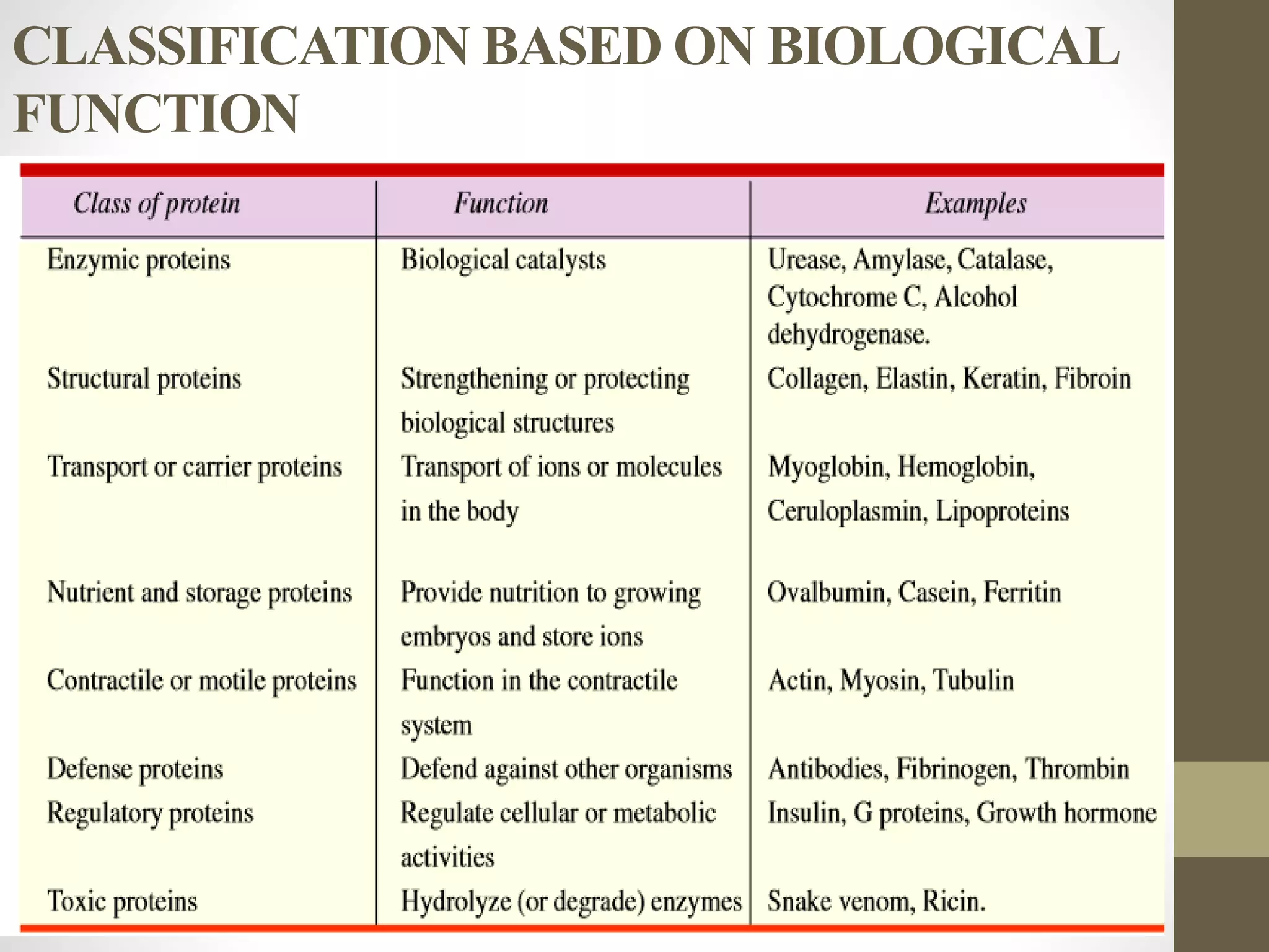 protein classification and it's properties | PPTX