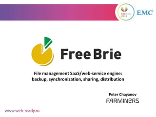 File management SaaS/web-service engine:
backup, synchronization, sharing, distribution


                                      Peter Chayanov
 
