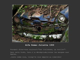 Alfa Romeo Julietta 1959 Pourquoi dites-vous toujours?:"Les italiennes, ça rouille!". Dans cette forêt, face à la décrépitude,toutes les marques sont égales…  … Juste comme nous, lorsqu'on nous emporte au cimetière! 