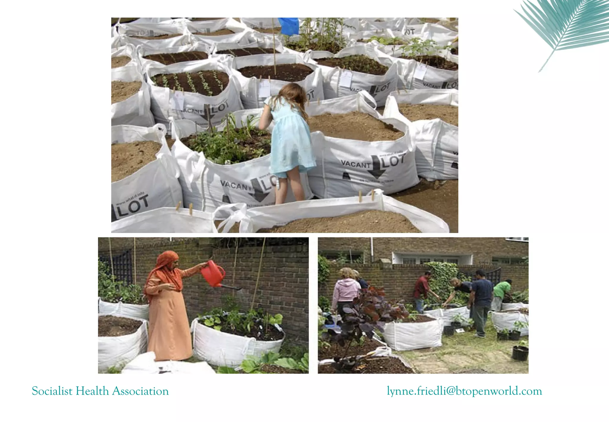 Socialist Health Association   lynne.friedli@btopenworld.com
 