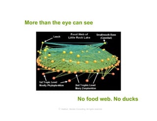 More than the eye can see




                                No food web. No ducks
            © Axelrod ⋅ Becker Consulting   All rights reserved
 