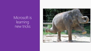 Microsoft is
learning
new tricks
 