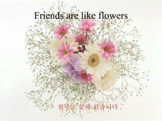 Friends are like flowers 친구는 꽃과 같습니다 . 