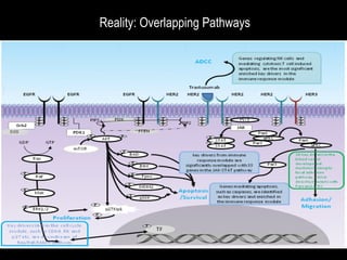 Reality: Overlapping Pathways
 
