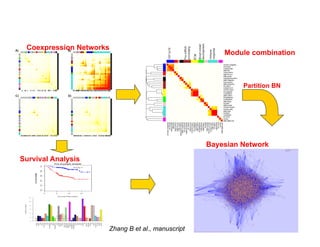 Coexpression Networks
                                                      Module combination



                                                           Partition BN




                                                  Bayesian Network

Survival Analysis




                                                                          19
                     Zhang B et al., manuscript
 