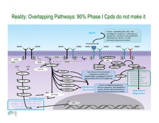Reality: Overlapping Pathways: 90% Phase I Cpds do not make it
 