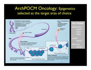 ArchPOCM Oncology: Epigenetics
 selected as the target area of choice 	


                                        Top Targets:
                                        • Discovery
                                             • Jard1
                                             • Ezh1
                                             • G9A
                                        • Lead
                                             • Dyrk1
                                        • Pre-Clin
                                             • `Brd4
 