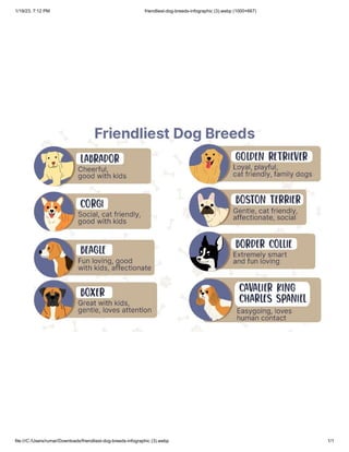 1/19/23, 7:12 PM friendliest-dog-breeds-infographic (3).webp (1000×667)
file:///C:/Users/rumar/Downloads/friendliest-dog-breeds-infographic (3).webp 1/1
 