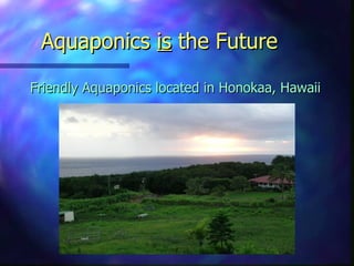 Aquaponics  is  the Future ,[object Object]