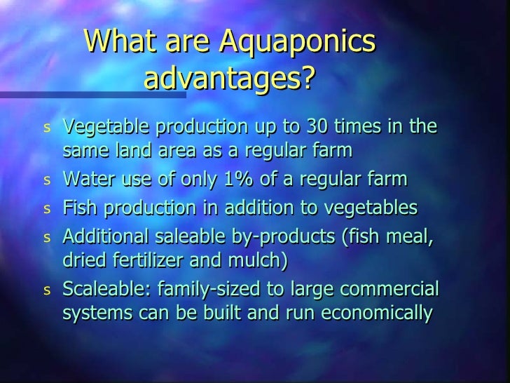 Friendly Aquaponics: the basics of the system