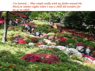 I've learned.... That simple walks with my father around the block on summer nights when I was a child did wonders for me as an adult. 