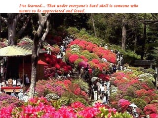 I've learned... That under everyone's hard shell is someone who wants to be appreciated and loved. 