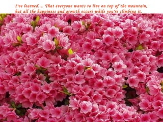 I've learned.... That everyone wants to live on top of the mountain, but all the happiness and growth occurs while you're climbing it. 