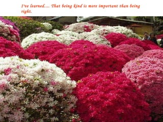 I've learned.... That being kind is more important than being right. 