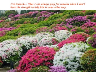 I've learned.... That I can always pray for someone when I don't have the strength to help him in some other way. 